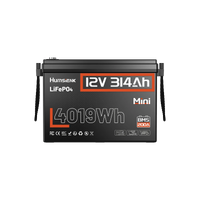 Humsienk 12V 314Ah Mini LiFePO4 Lithium Battery with 200A BMS