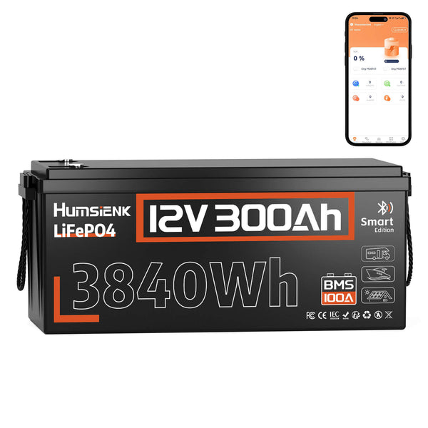 Humsienk 12V 300Ah LiFePO4 Bluetooth Battery 100A BMS