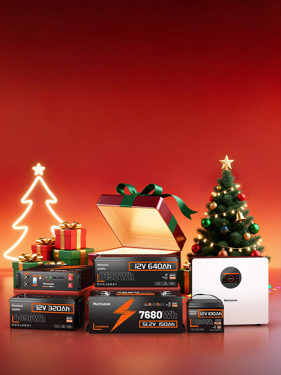 holiday LiFePO4 deep cycle battery sale, save up to 27%